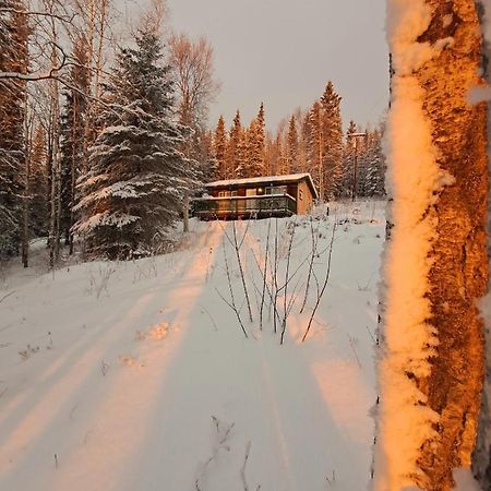 Northwoods Cottage Bed And Breakfast 费尔班克斯 外观 照片