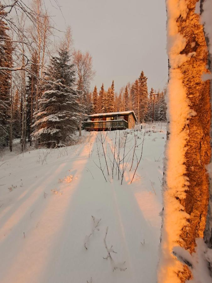 Northwoods Cottage Bed And Breakfast 费尔班克斯 外观 照片