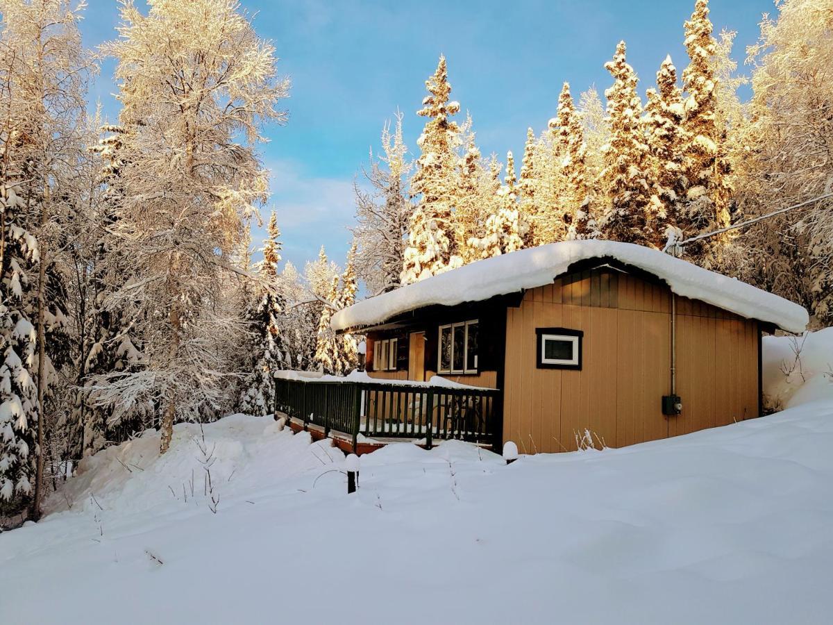 Northwoods Cottage Bed And Breakfast 费尔班克斯 外观 照片