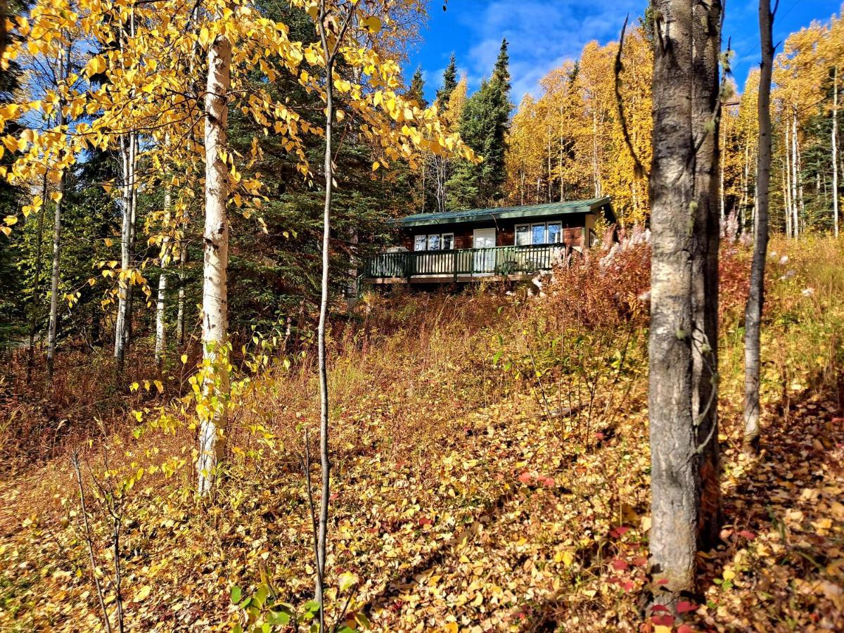 Northwoods Cottage Bed And Breakfast 费尔班克斯 外观 照片
