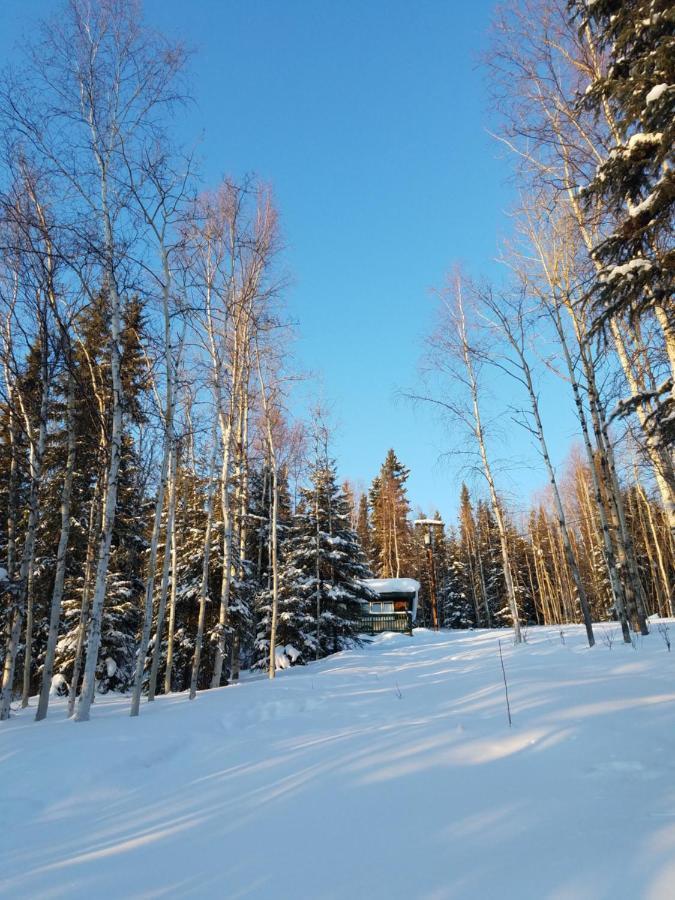 Northwoods Cottage Bed And Breakfast 费尔班克斯 外观 照片