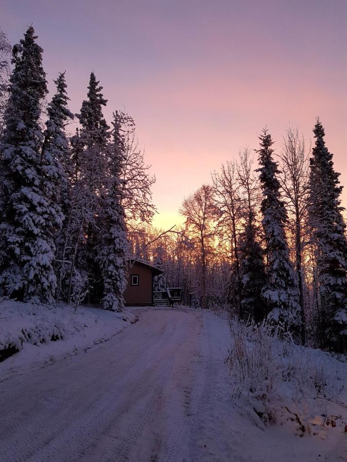 Northwoods Cottage Bed And Breakfast 费尔班克斯 外观 照片