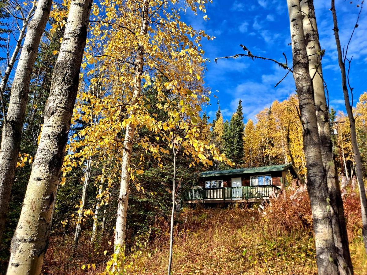 Northwoods Cottage Bed And Breakfast 费尔班克斯 外观 照片