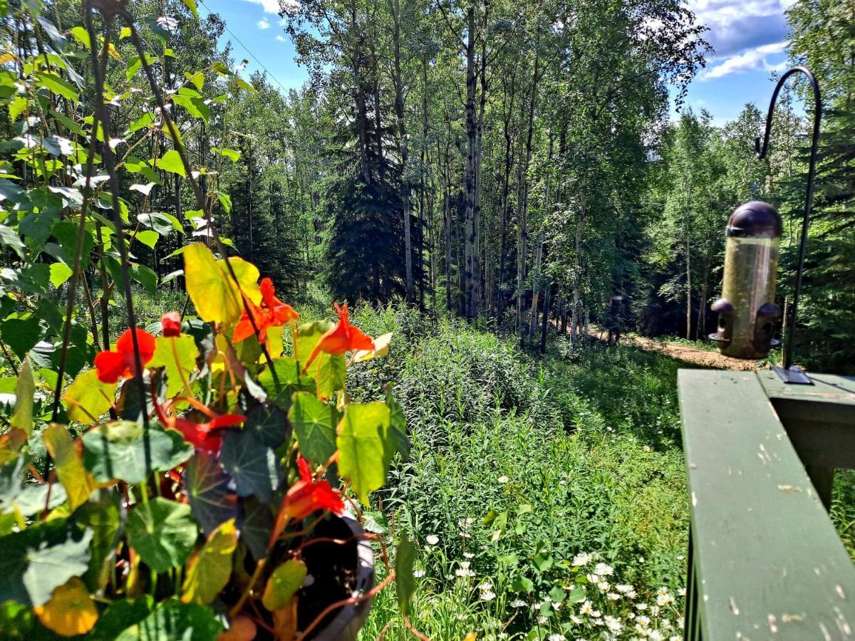 Northwoods Cottage Bed And Breakfast 费尔班克斯 外观 照片