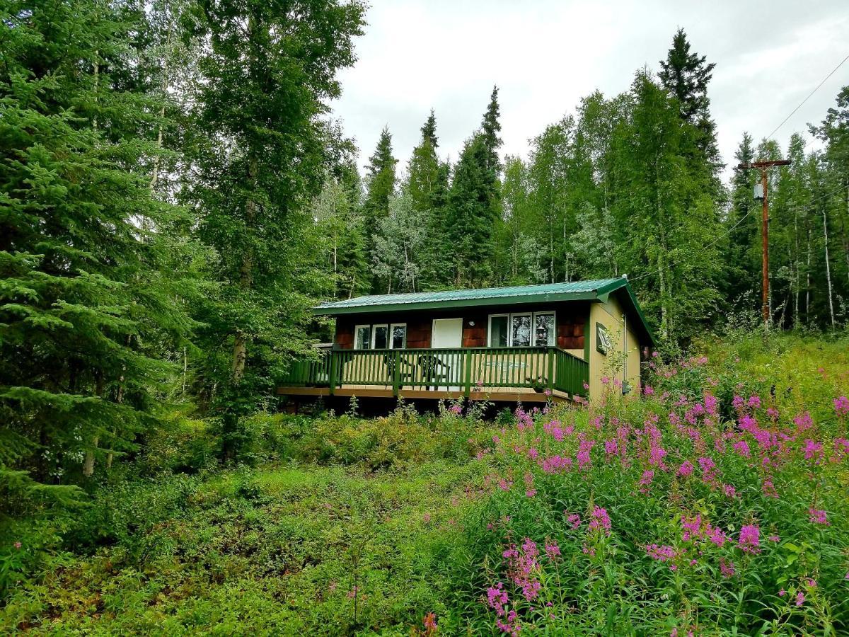 Northwoods Cottage Bed And Breakfast 费尔班克斯 外观 照片