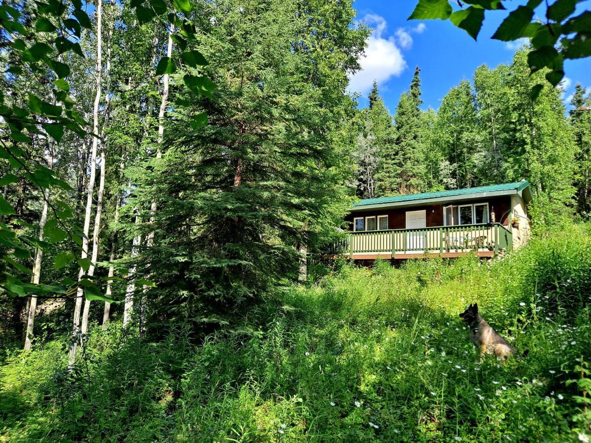 Northwoods Cottage Bed And Breakfast 费尔班克斯 外观 照片