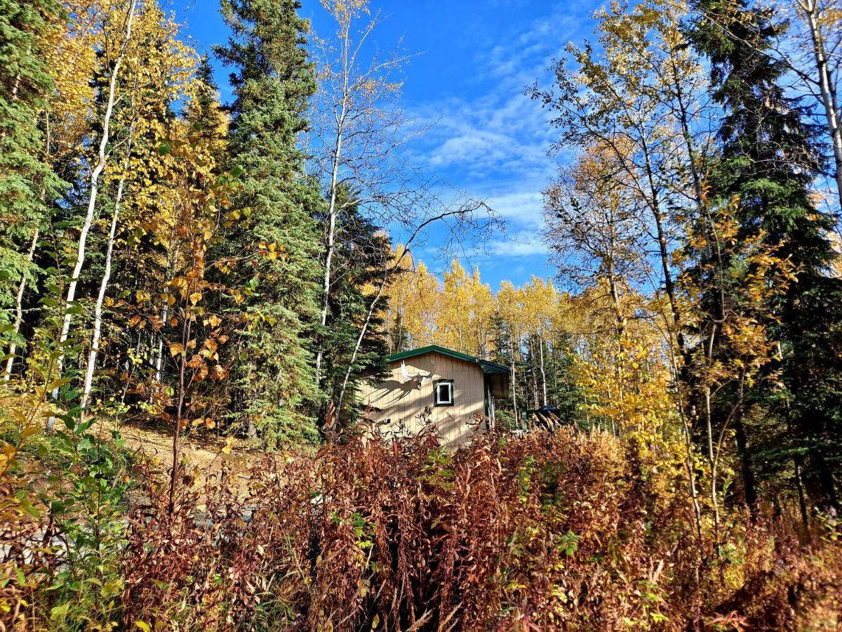 Northwoods Cottage Bed And Breakfast 费尔班克斯 外观 照片